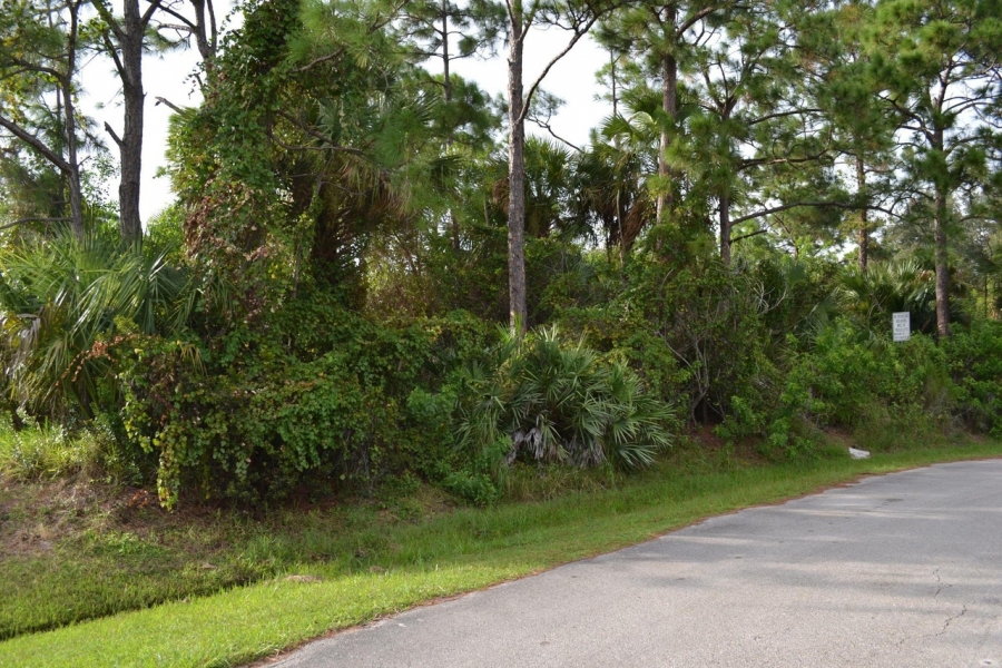 0 SW Letchworth Street, Port Saint Lucie, FL 34953 Teresita V Amado